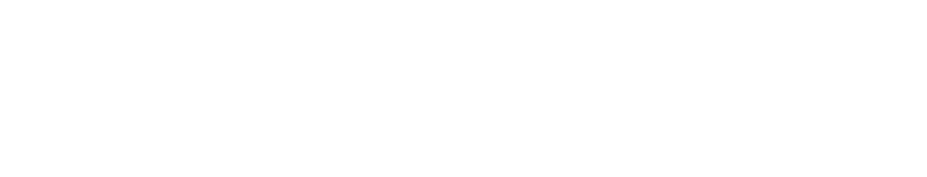 We the Fans Logo